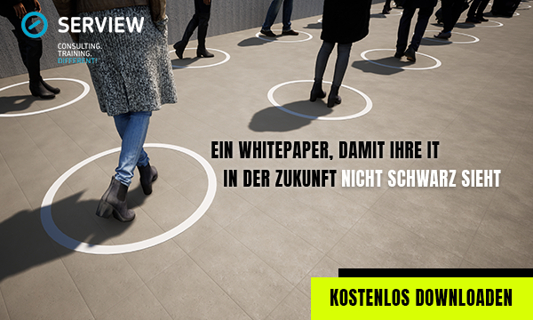 SERVIEW Whitepaper