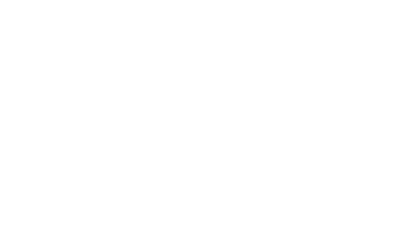 SERVIEW GmbH Consulting Bg Phoenics Logo SERVIEW GmbH Consulting Bg Phoenics Logo